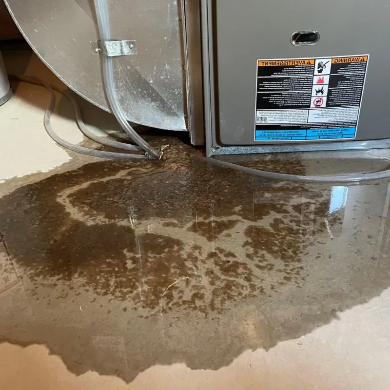 Pipe Burst and Leak Restoration in Fairfield, CA